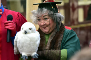 Wizard Academy Teacher With Owl