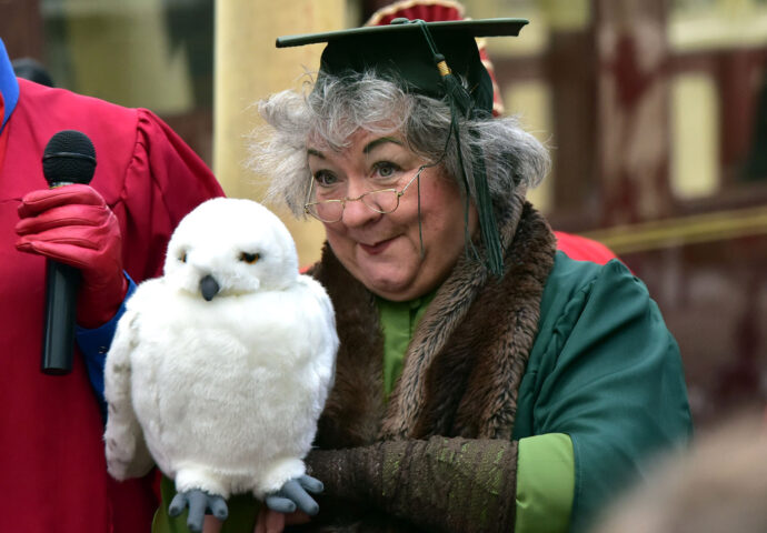Wizard Academy Teacher With Owl