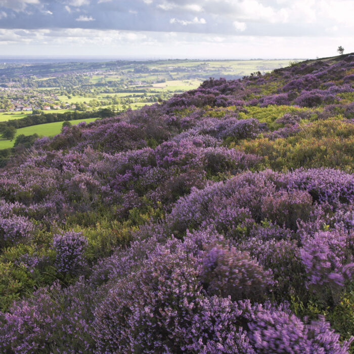 places to visit east lancashire